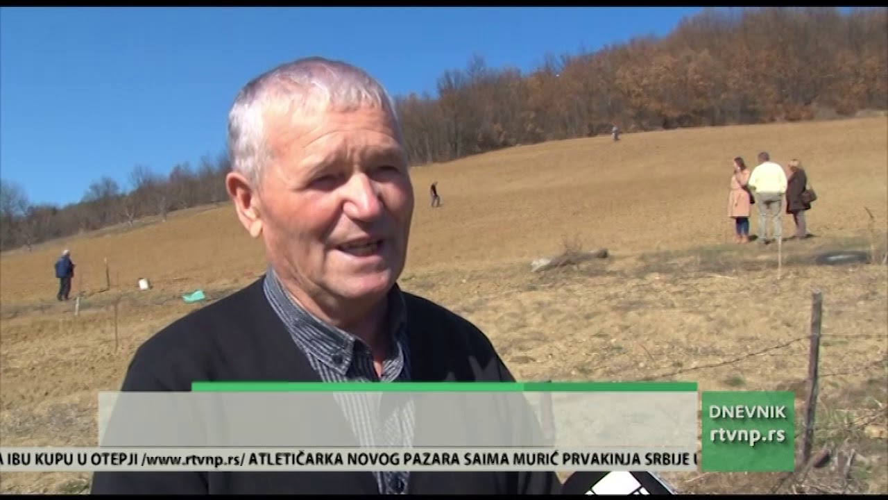 Zasađena prva plantaža šipurka u Novom Pazaru