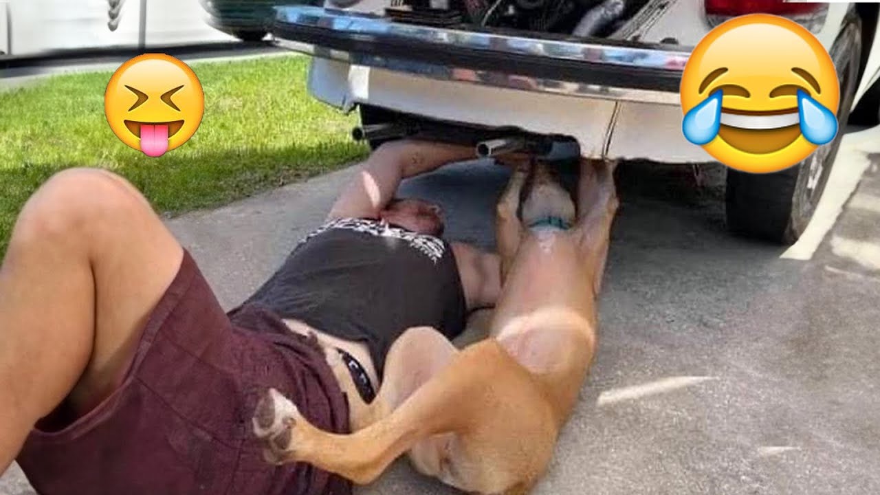 TRY NOT TO LAUGH 😆 Best Funny Videos Compilation 😂😁😆 Memes PART41