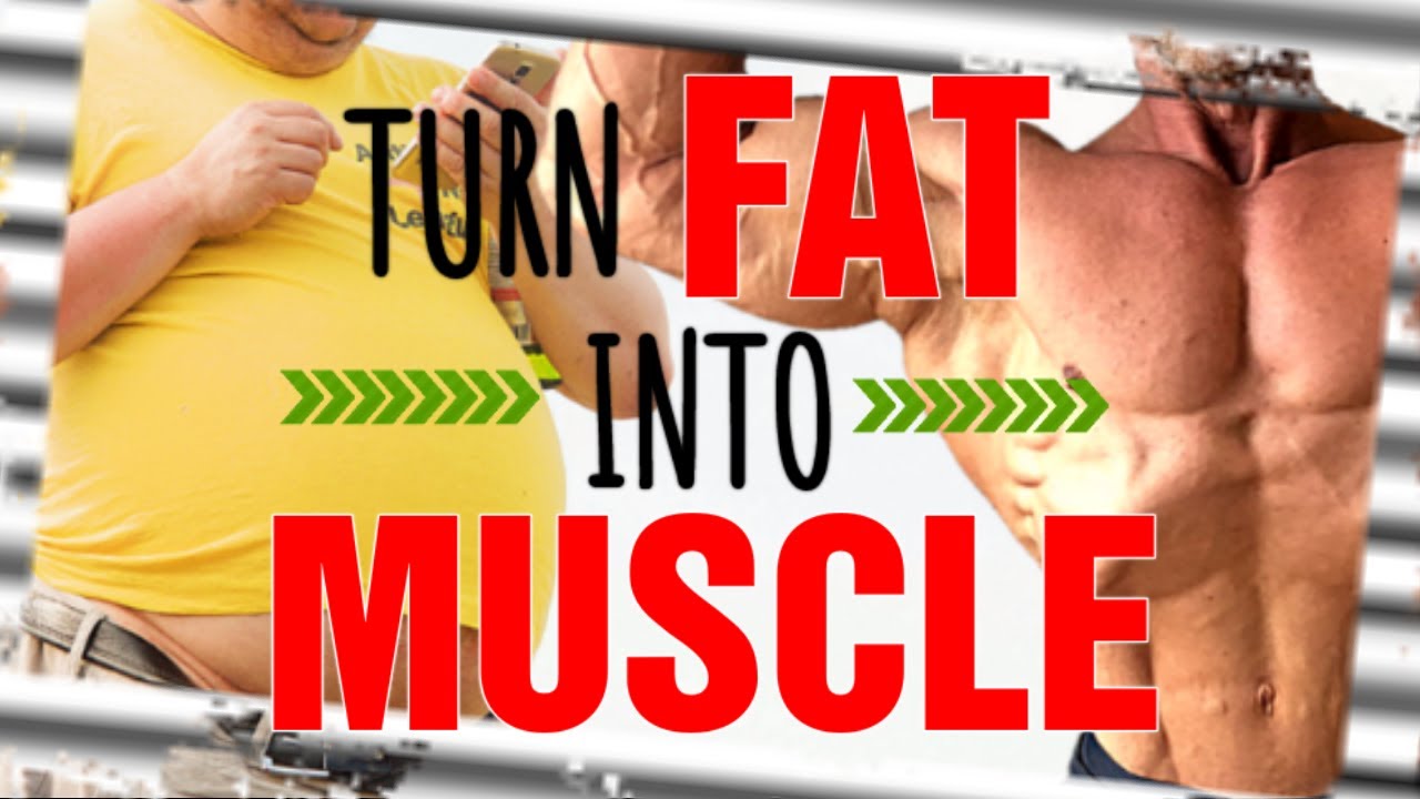 Turn FAT Into MUSCLE || NOT Clickbait!