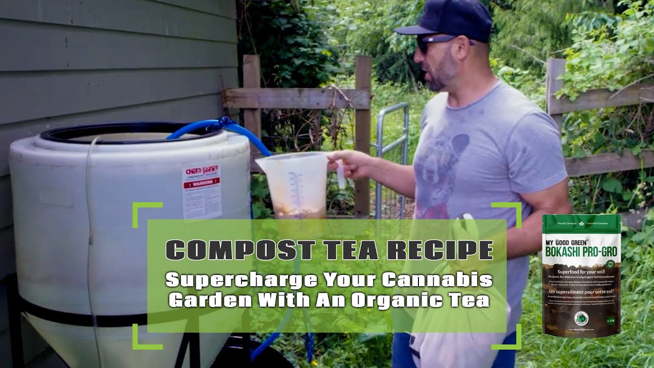 How To Make Compost Tea For Your Cannabis Garden