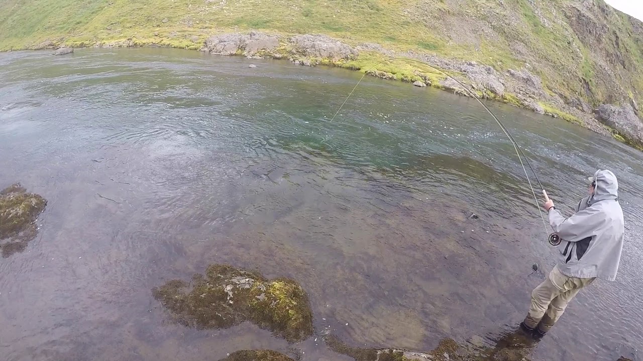 Salmon fishing Iceland - Selá 2017