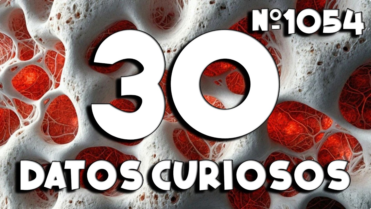 30 DATOS CURIOSOS y COSAS QUE NO SAB&Iacute;AS ⏰😲 1054 #curioman&iacute;atv