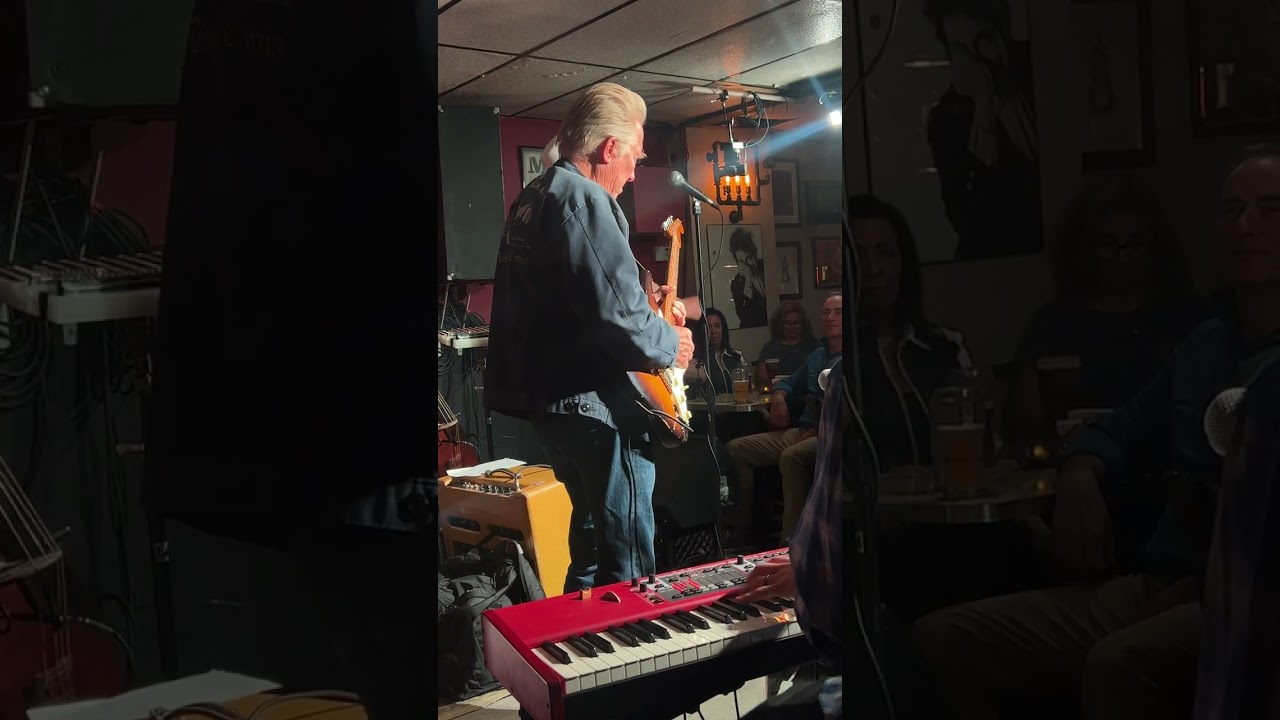 Anson Funderberg solo, Mark Hummel and The Blues Survivors