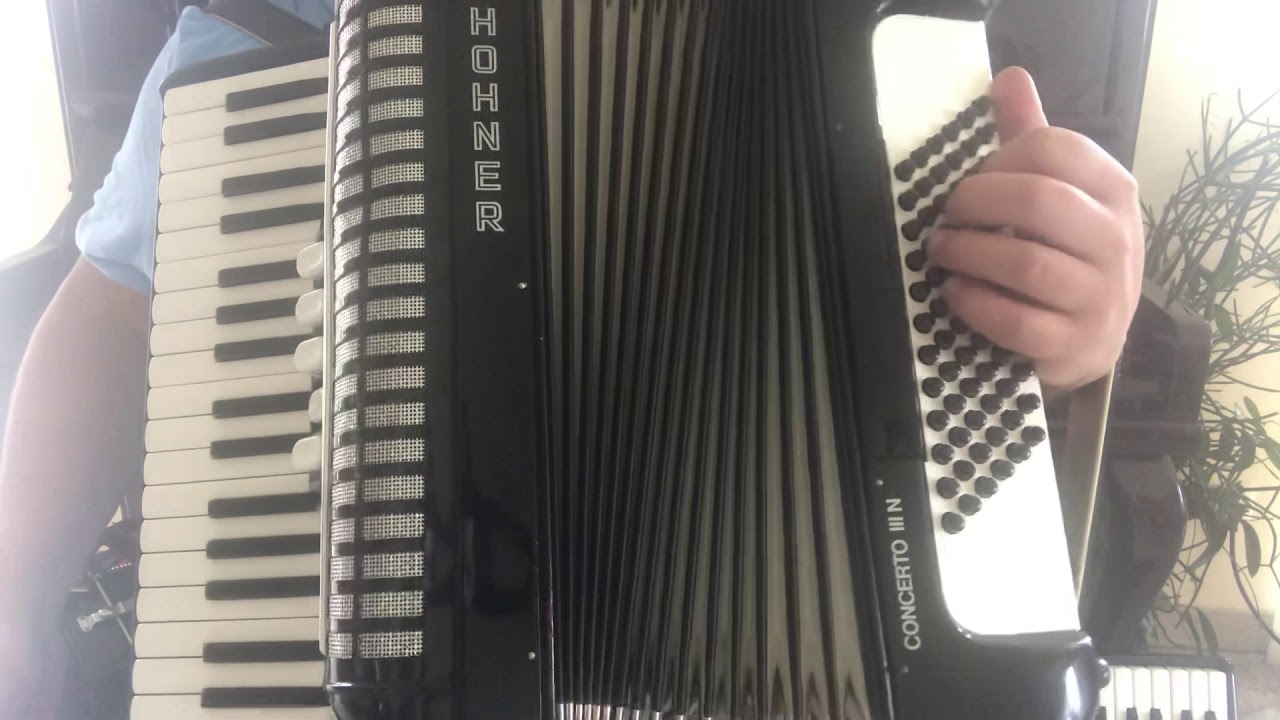 Klangprobe Hohner Concerto 3 N Reparatur in 48157 Münster