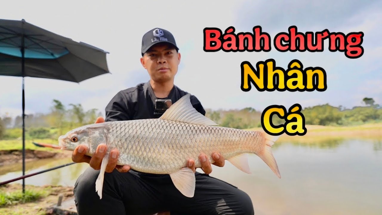 Câu Cá Làm Nhân Bánh Chưng Đón Tết