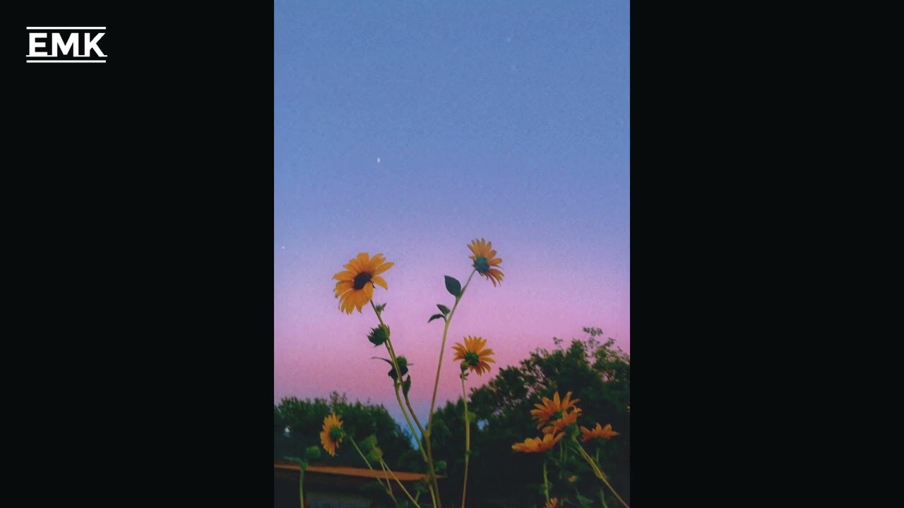 [FREE] 