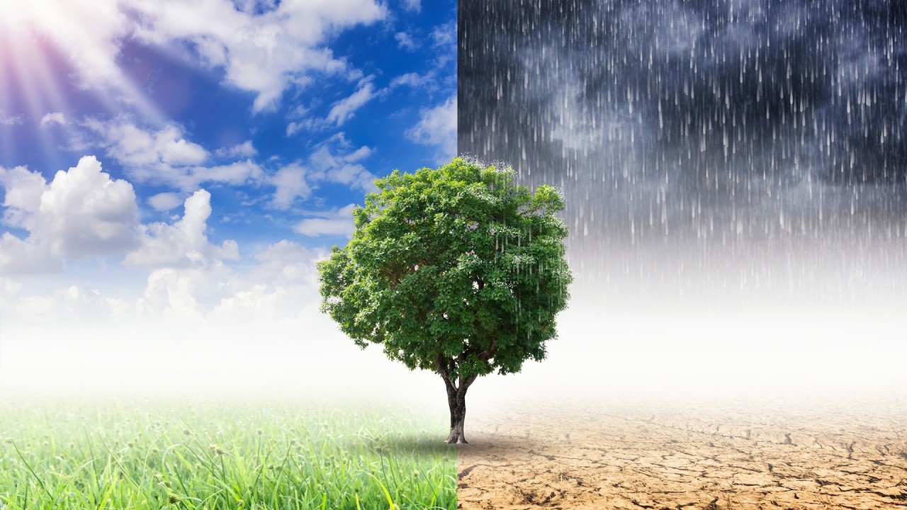 Global Pulse Ep. 159: What U.S. Pullback from Global Climate Institutions Means for Climate Action