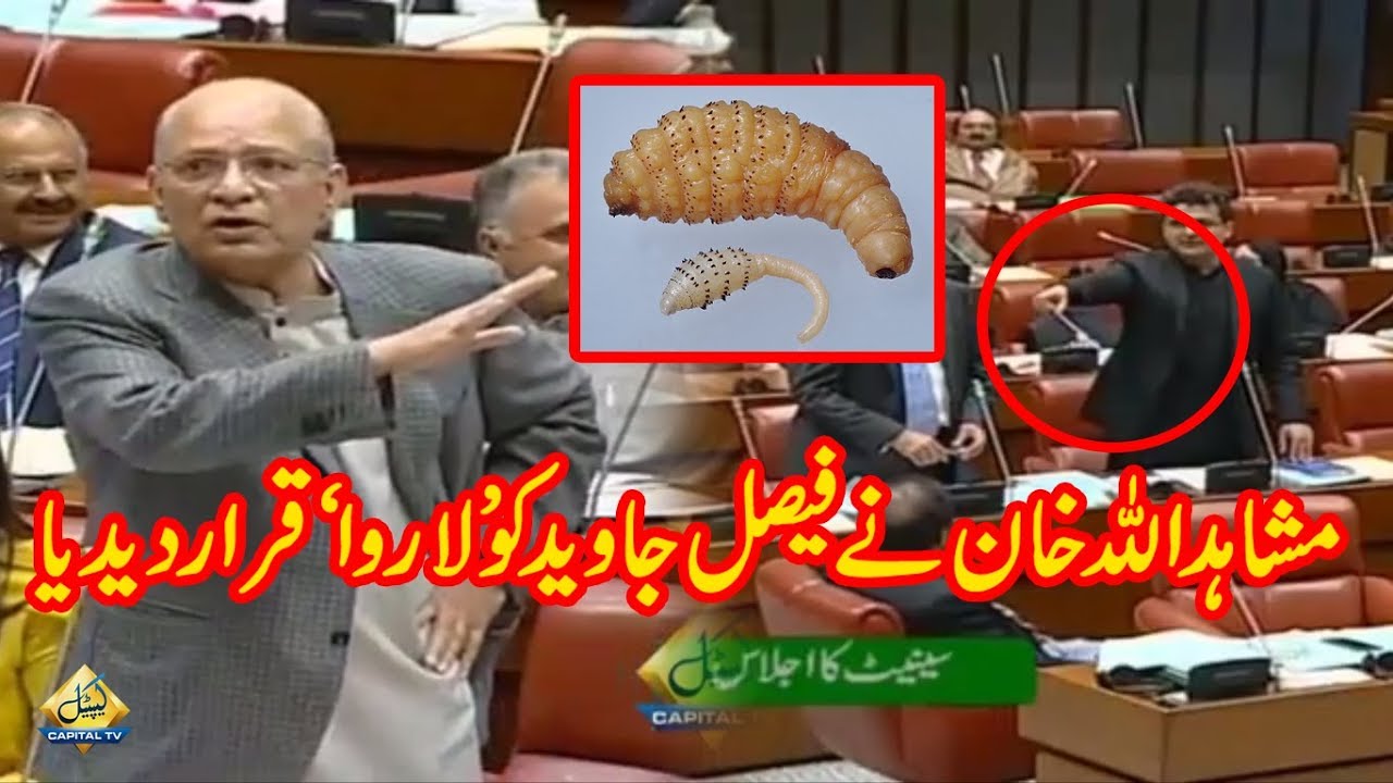 Faisal Javed Tum Bhe CHOR ho | Mushahid Ullah Aggressive Speech in Senate Today