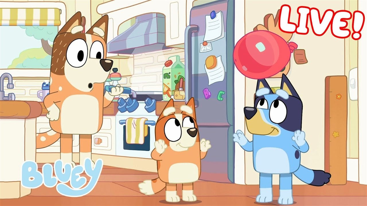 🔴LIVE: Let's Party with Bluey! | 1 HOUR+ | Bluey