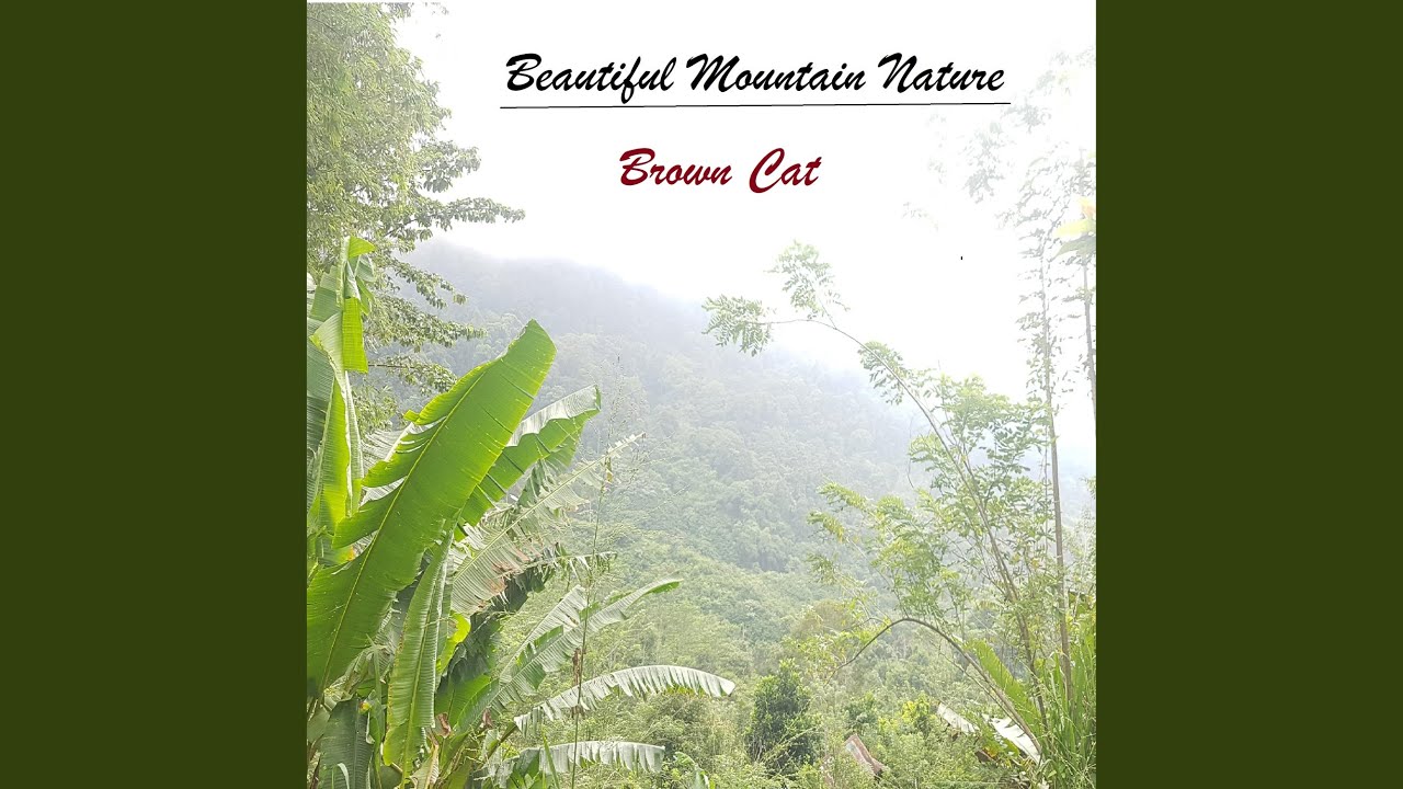 Beautiful Mountain Nature