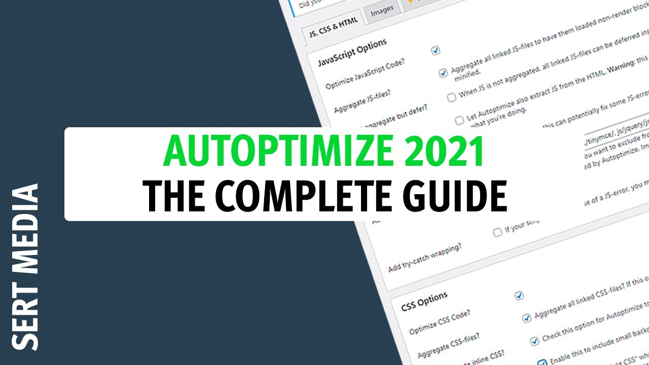 Autoptimize Tutorial 2021 - How To Setup Autoptimize Plugin - Autoptimize Plugin Tutorial