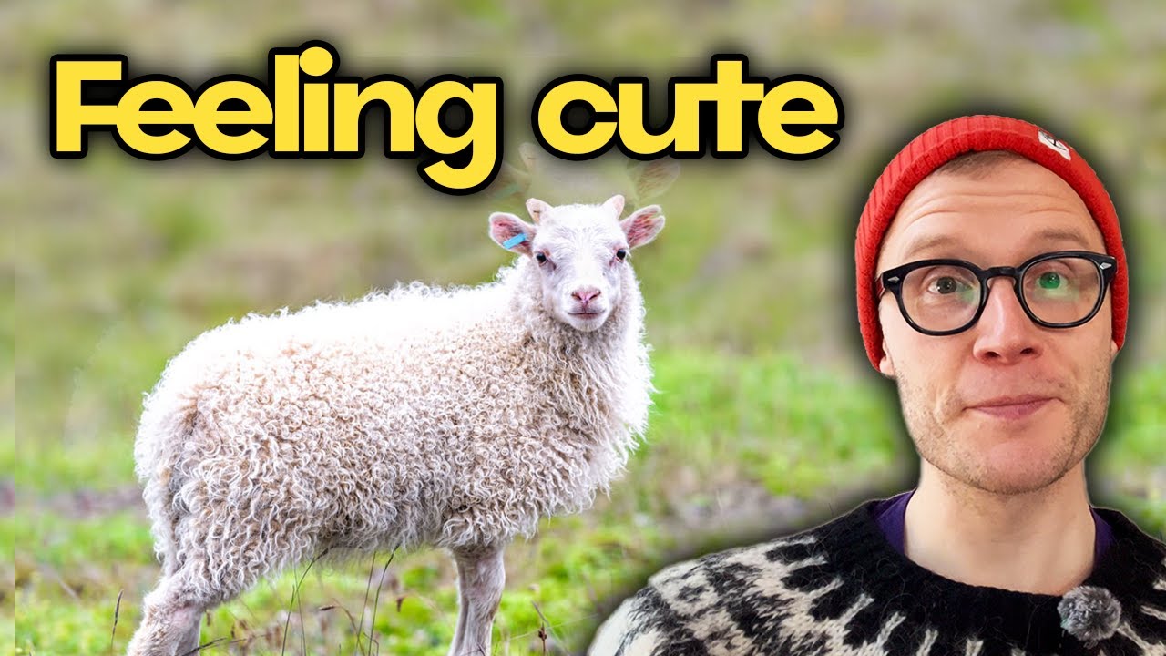 Describe Your Feelings In Icelandic