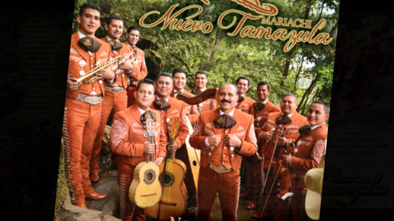 No Me Pidas Perdon (Version Mariachi)-10Cd Mariachi Nuevo Tamazula 2015
