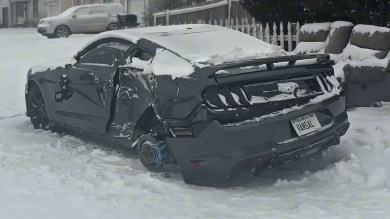Mustang Drivers Doing Mustang Things 😂 #24 