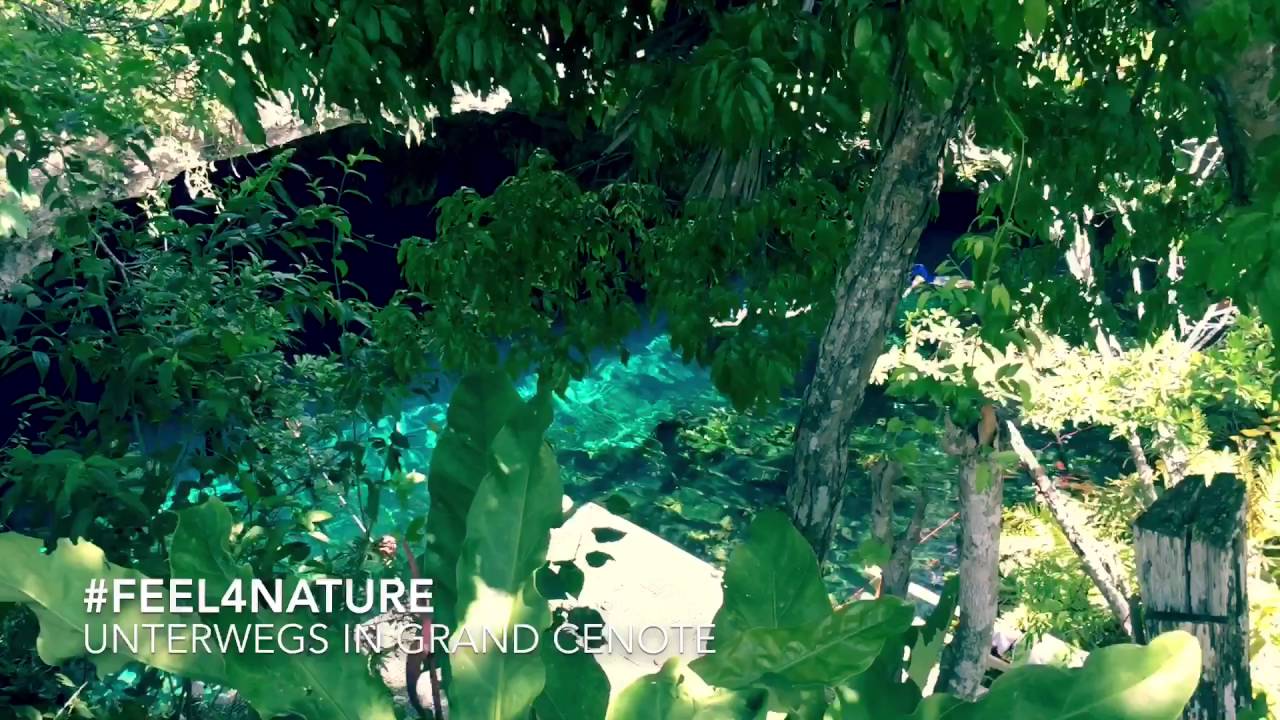 Grand Cenote - Mexiko, Tulum