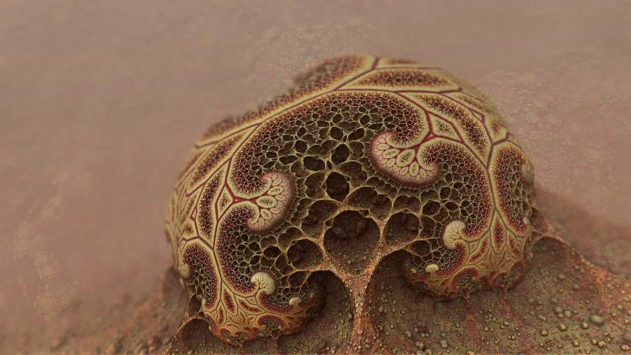 Nicho ecol&oacute;gico explicado de manera sencilla