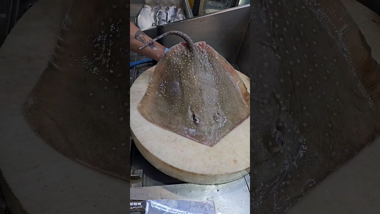 How to clean and cut a stingray fish cutting skills#shorts