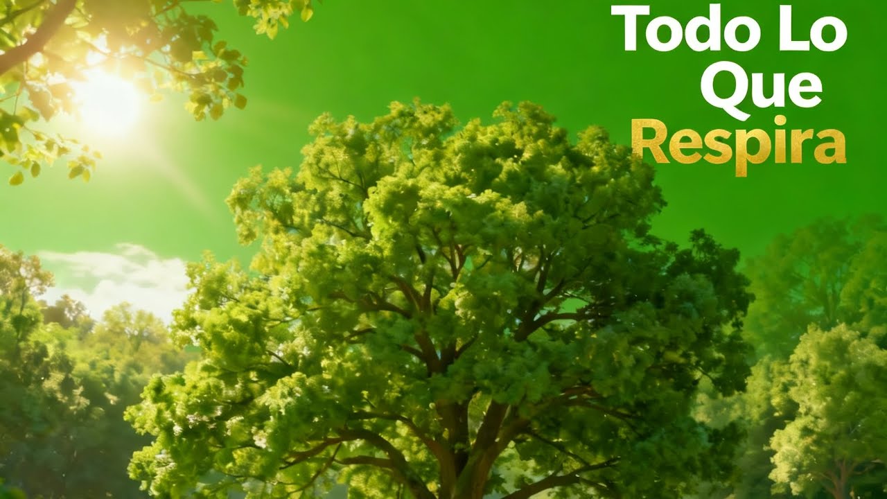 Todo Lo Que Respira, una hermosa canción romántica dedicada para quienes se aman mucho.