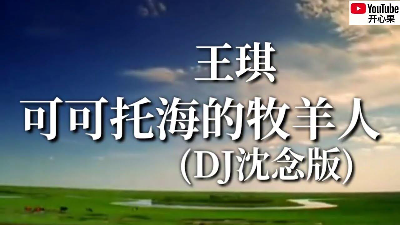 ❤️🎶王琪【可可托海的牧羊人】(DJ沈念版)🎶❤️