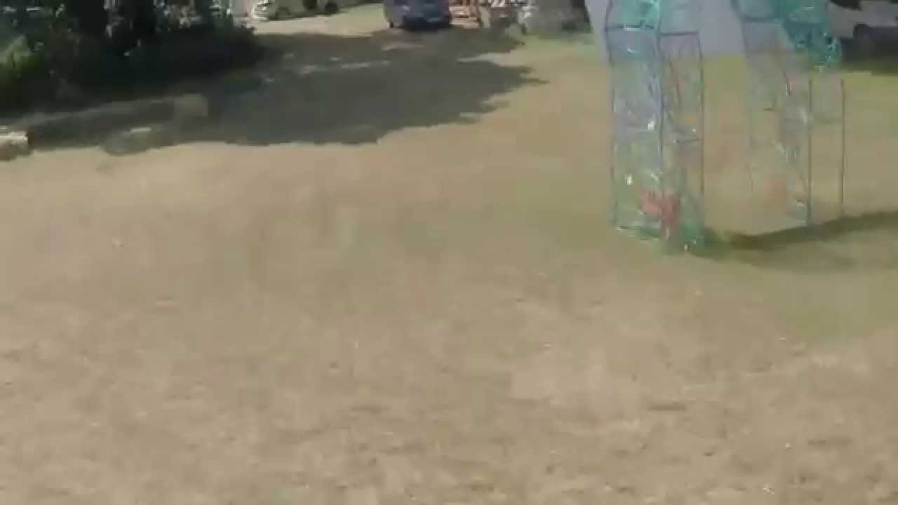Fling Festival - Hylands Park Chelmsford July 4th 2015 -The Drone Through