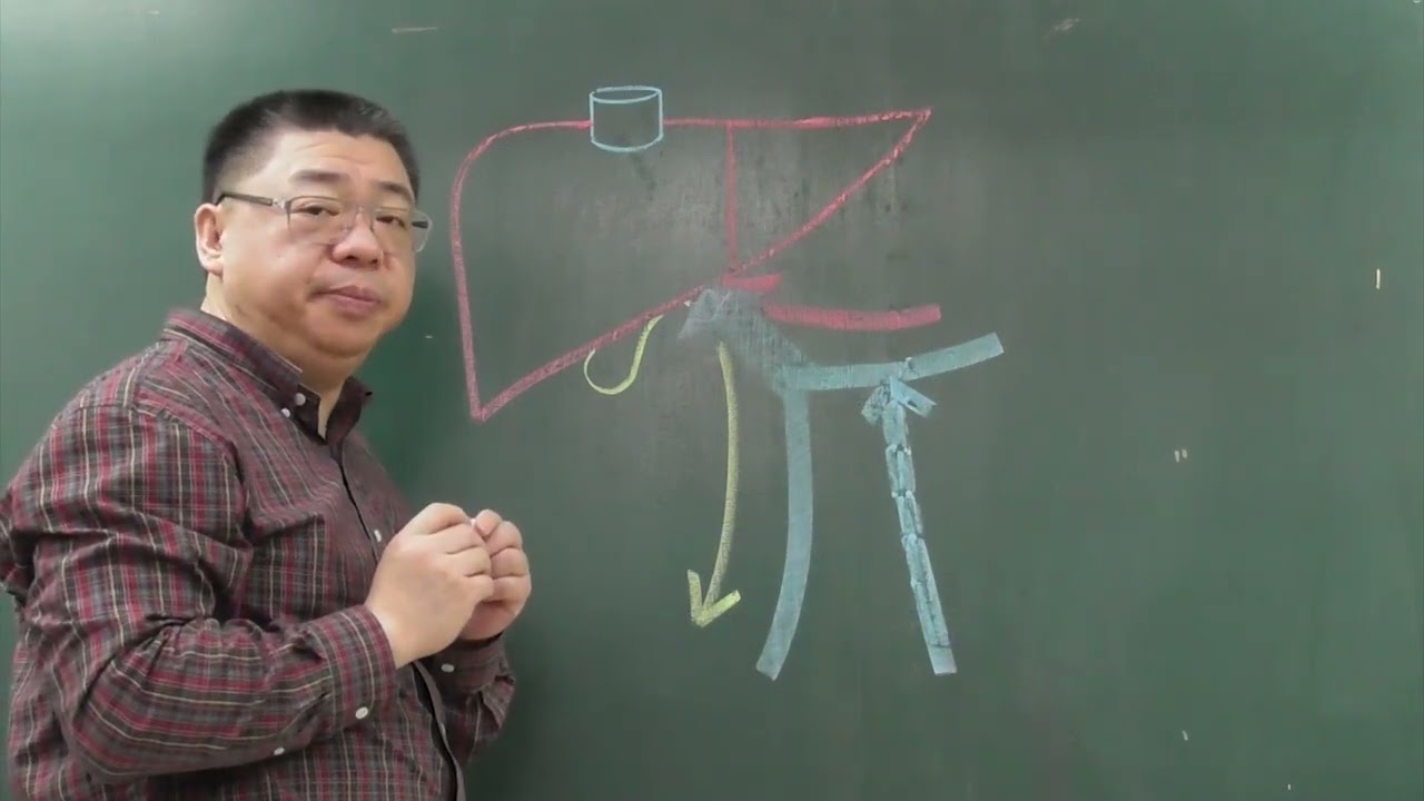 11 16 門脈循環