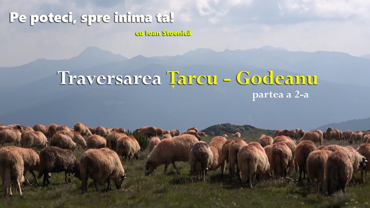 M-a prins grindina pe creasta, in Godeanu! Pe poteci, spre inima ta! S4 - Ep4 (111)