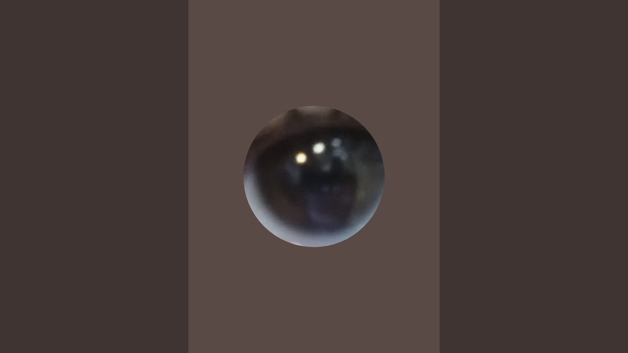 Limited_Melo is live!