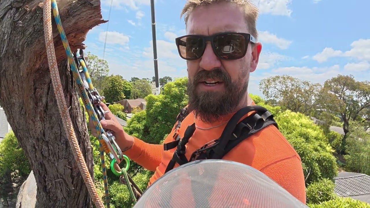 Too dangerous to climb. Had to get a crane!