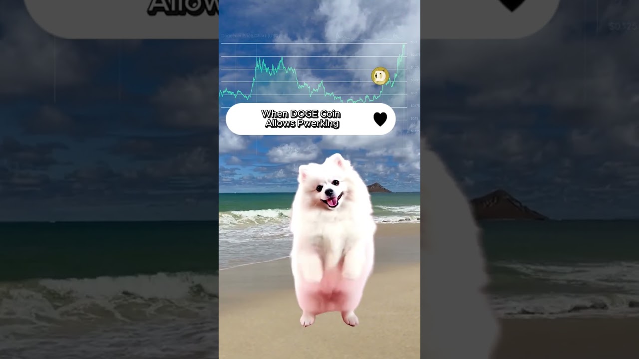 DOGE Coin in Bull run  #crypto #altcoins #shorts #nfai