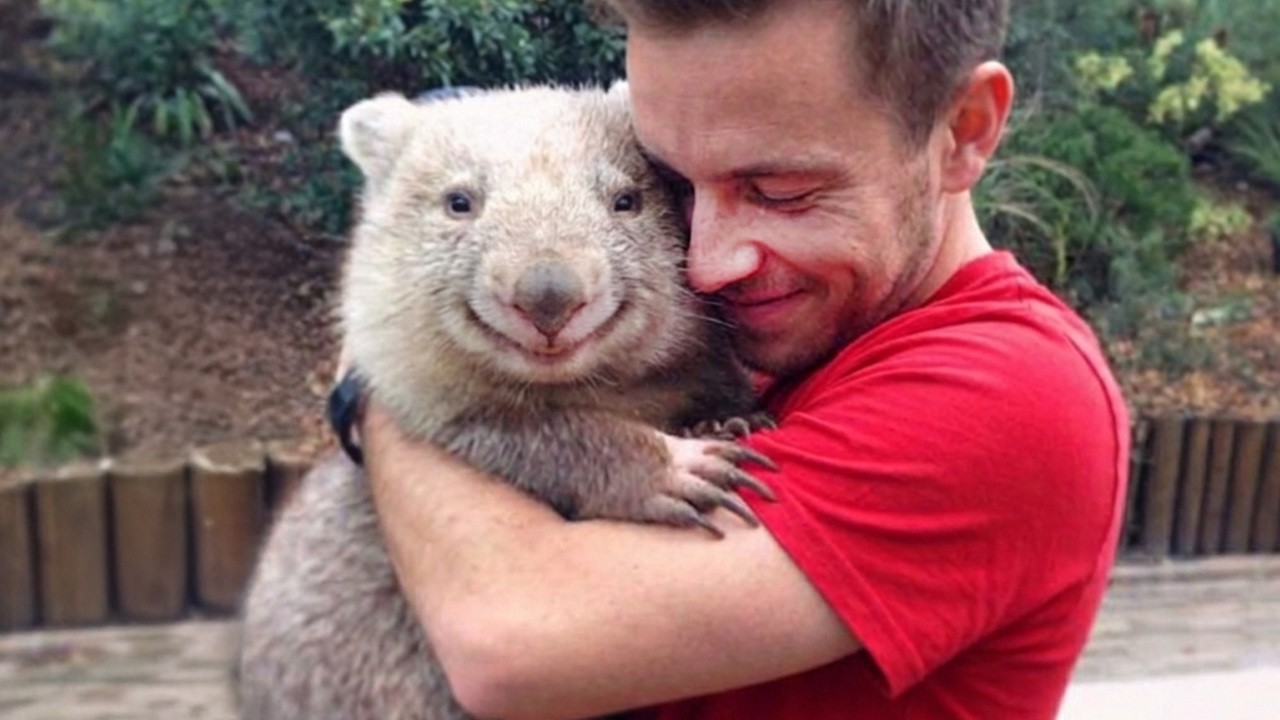 When Animals and Humans Make the World Beautiful 😍