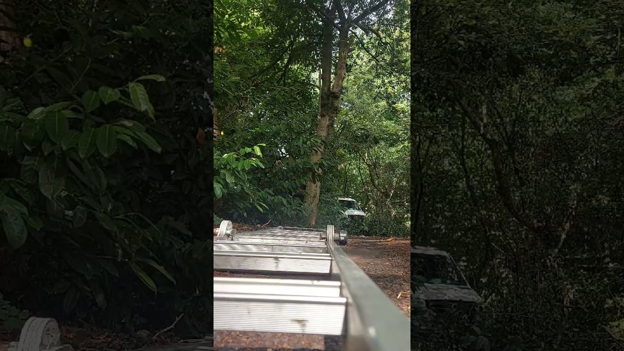 J&c gardening and pond maintenance 07788958114 