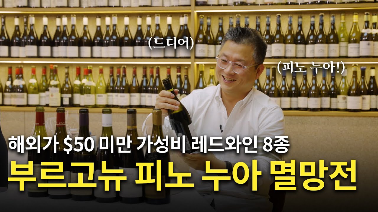 [Eng.sub] 해외에서 $50 미만에 판매 되는 가성비 부르고뉴 피노 누아 멸망전!