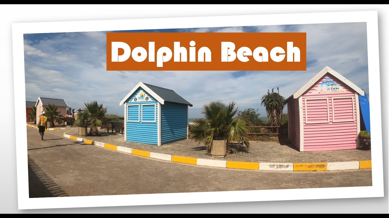 Dolphin Beach | Jeffrey's Bay | South Africa