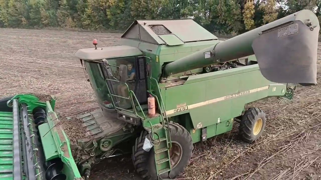Соняшник Неома LNZ, по технології No-till