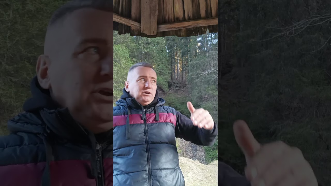 Politicke svine