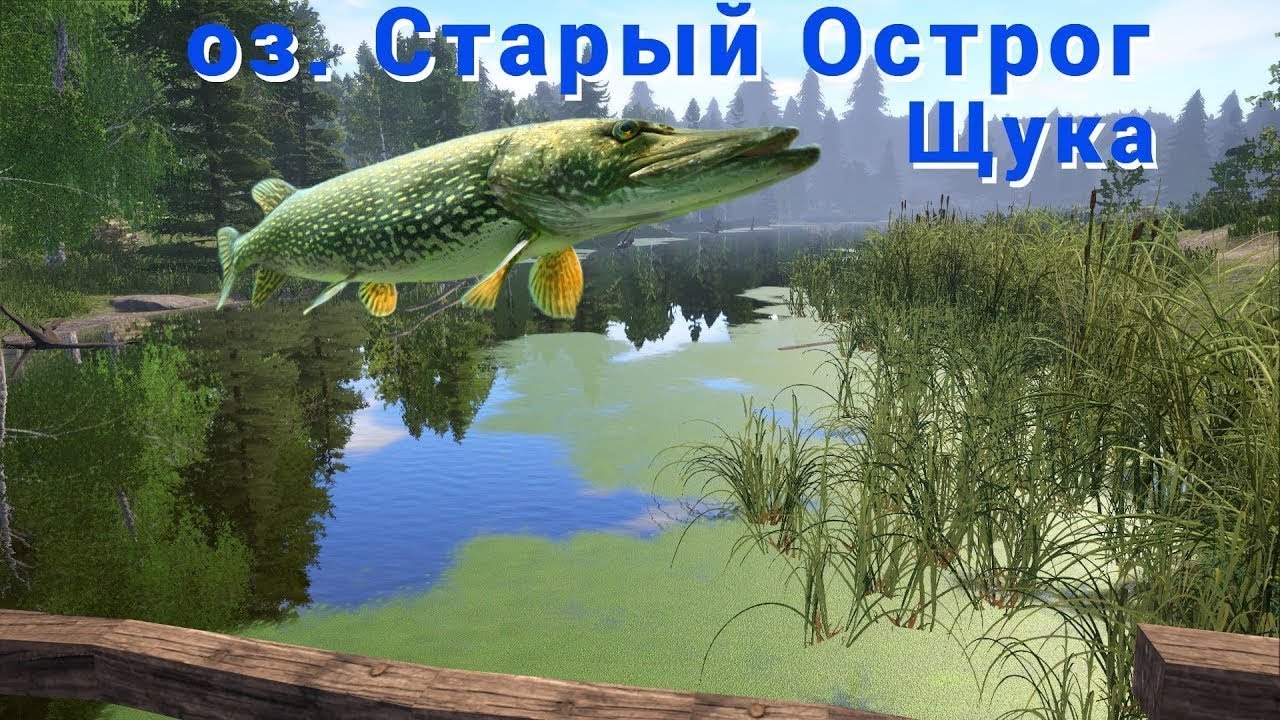Щука на остроге пулемёт но дуже мелкая!