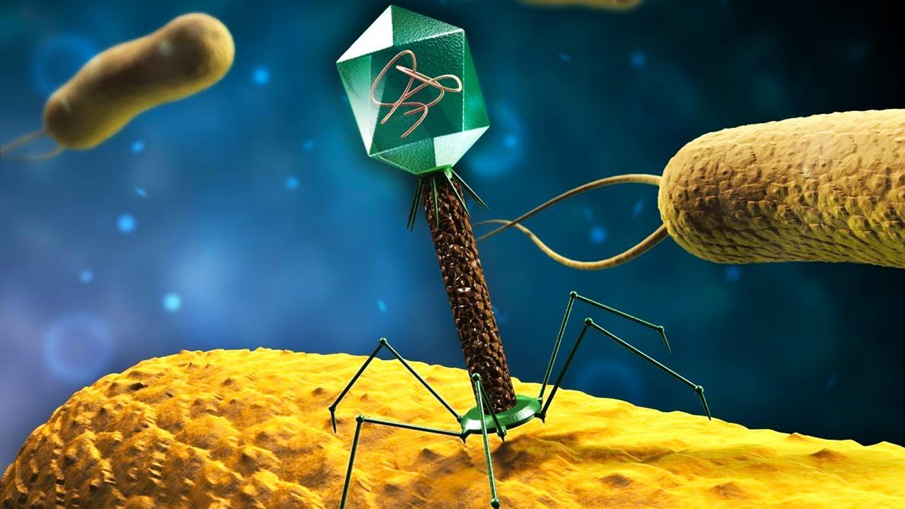 Cuando un Virus domina a una Célula