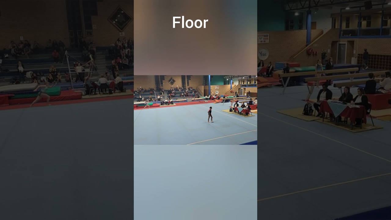 Gauteng North Gymnastics Association  Invitational Competition