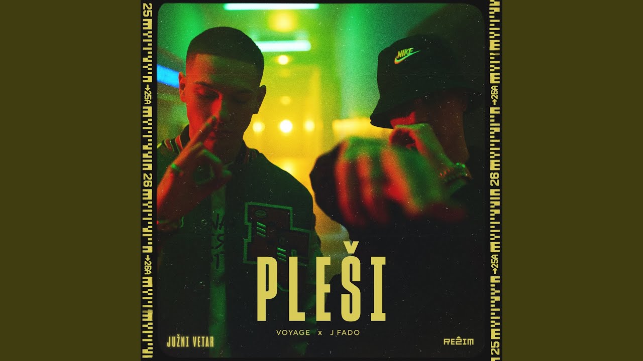 Plesi