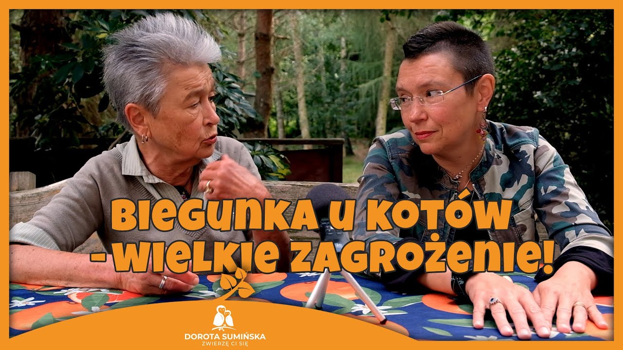 PORADNIK #13: Biegunka u kotów - wielkie zagrożenie!