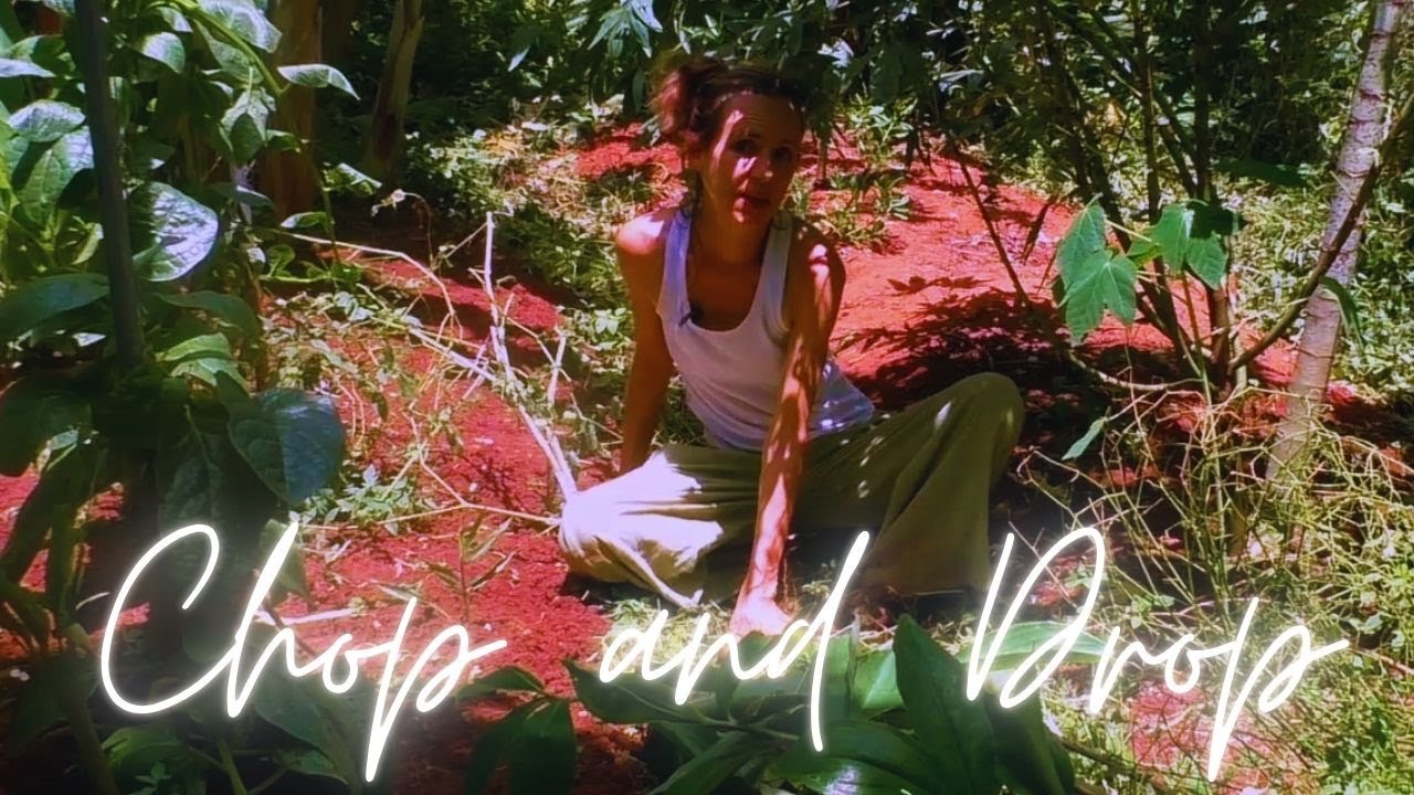 CLEARING THE JUNGLE ! Chop & Drop in My Overgrown Food Forest 🌱