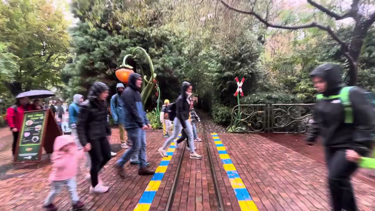 ASMR - Europa Park Panoramabahn - Full Circuit in the rain