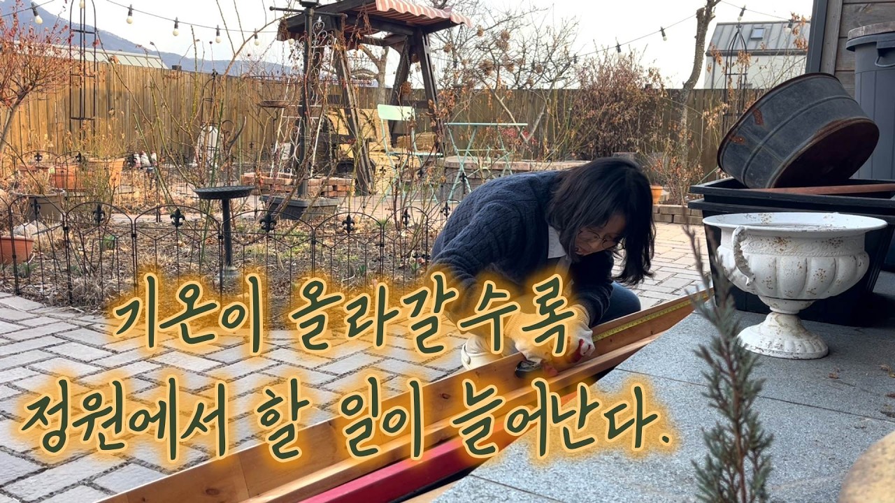 ep223 기온이 올라갈수록 정원에서 할 일이 늘어난다 | 정원브이로그 |일상브이로그 |시고르자브종| 정원노동