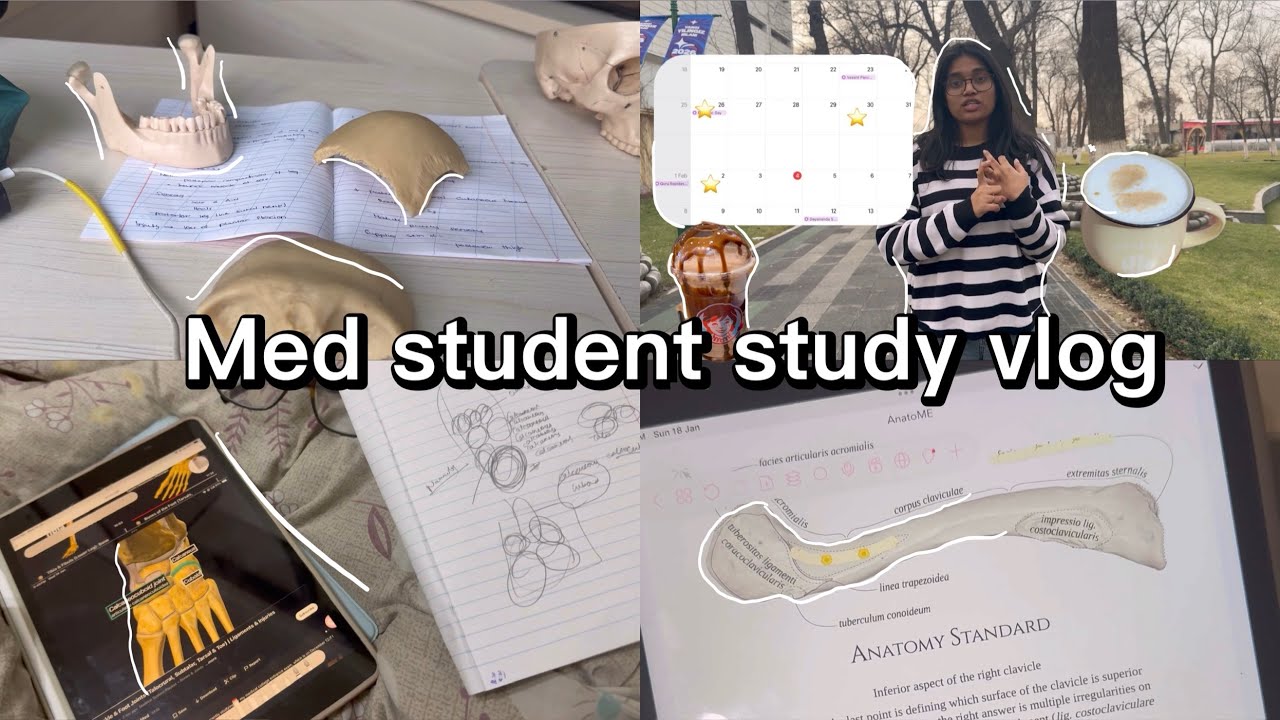 Med student study vlog 📚 🥼 , going to study cafe to study ☕️, anatomy viva 🦴🥲