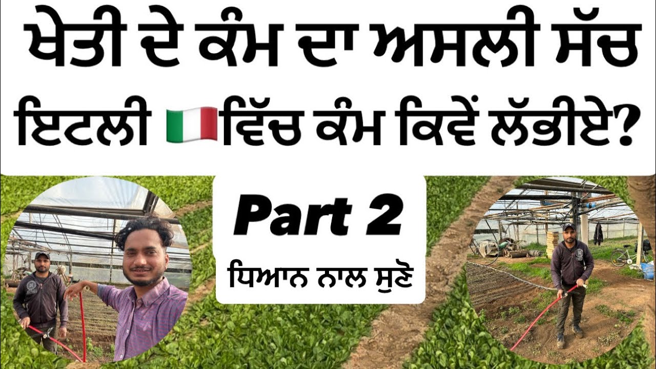 Italy vich kheti da kam | kheti da asli kam | italy vich kam kive labna |How to search work in italy
