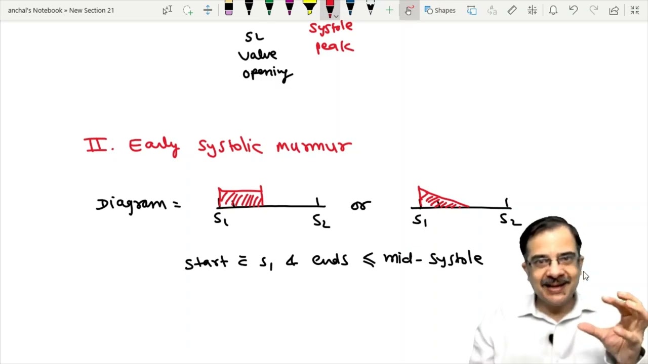 systolic murmurs