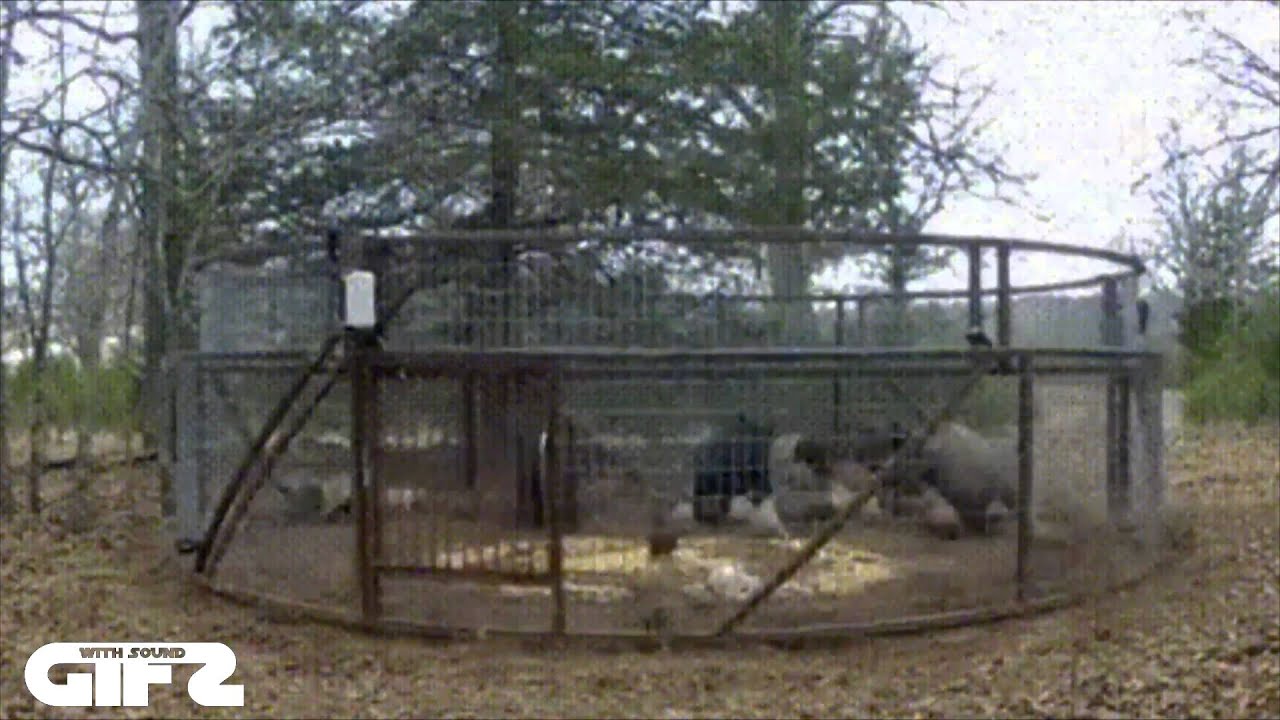 GIFs With Sound #112 MARCH 2015 GWS4ALL