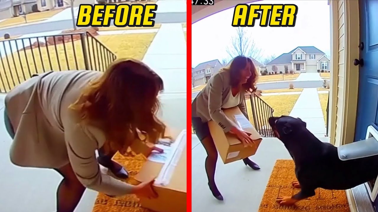 Angry Dog BURSTS Through Door for Package Thief 😱