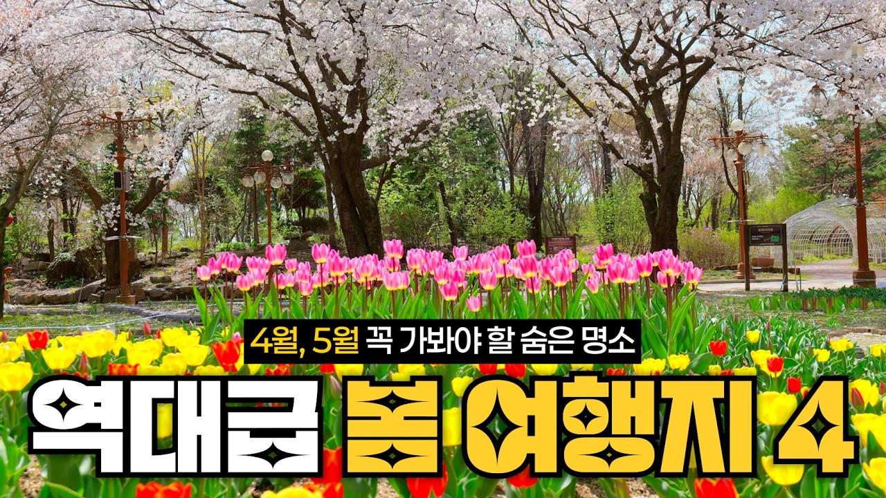 🌷 4월 5월 꼭 가야하는 국내 봄꽃 여행지 베스트4, 역대급 수목원 강원도립화목원, 제이드가든, 공지천 벚꽃길 등 강원도 춘천 여행 코스