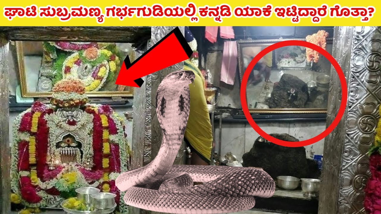 90% ಭಕ್ತರಿಗೆ ಗರ್ಭಗುಡಿಯಲ್ಲಿರುವ ಕನ್ನಡಿಯ ರಹಸ್ಯ ಗೊತ್ತೇ ಇಲ್ಲ | Ghati Subramanya | Mystery | Kannada News